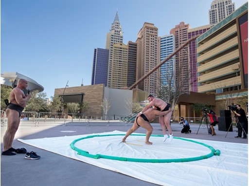 Ultimate Sumo League